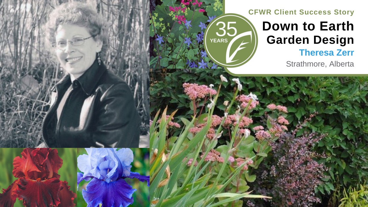 Down To Earth Garden Design | Community Futures Wild Rose